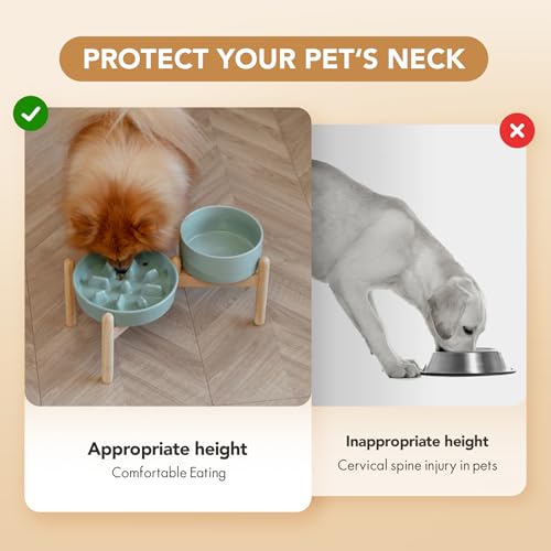 Havniva 7.3” Raised Slow Feeder Dog Bowls Set, 1.2 Cups Ceramic Slow Feeder Dog Bowl and 6.1” Dog Water Bowl with Elevated Wooden Stand Puzzle Dog Food Bowl for Small Dogs Anti-Gulping & Anti-Choking - color: 2 x Light Green+Stand-C, size: 7.3inch