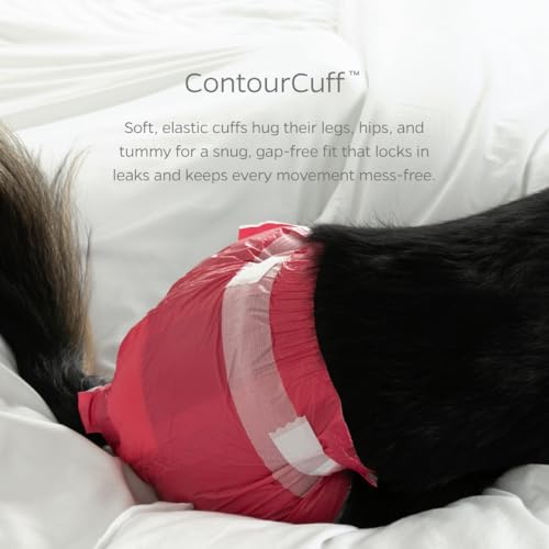 Pet Parents® DiPees® Disposable Dog Diapers + Extendrs®, Leak Proof, Up to 75% Plant Based, Premium Disposable Dog Diapers Female (Princess, Small (12-23"), 30ct) - color: Princess, size: Small (12-23")