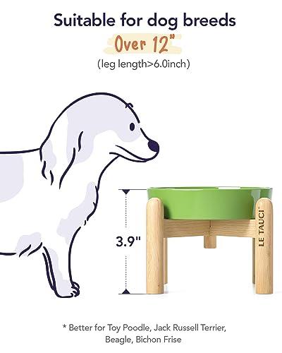LE TAUCI Ceramic Slow Feed Dog Bowls, Elevated for Small Breeds, Anti-Gulping, Non-Slip, 6 inch, Green - color: Clover Green+Stand, size: S-0.6 Cups