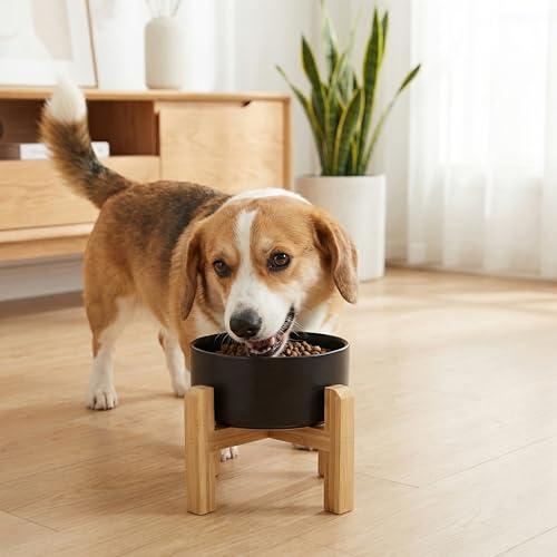 hjn Elevated Ceramic Dog Bowl with Bamboo Stand, Raised Pet Feeding Station for Small Medium Dogs Cats, Modern Design with Anti-Slip Base (Black, 3.6Cup) - color: Black, size: 3.6Cup
