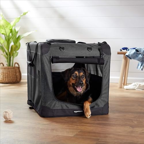 Amazon Basics Portable Soft Pet Dog Crate Carrier Kennel with Mesh Windows, Foldable, 30 x 21 x 21 inches, Black - color: BLACK, size: 30.0"L x 21.0"W x 21.0"H