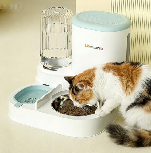 Automatic Cat Feeder and Water Dispenser, 1.1L Cat Dry Food Dispenser with Stainless Steel Bowl, 800ml Gravity Water Dispenser with Filter for Small Dog Cats Kitten Puppy