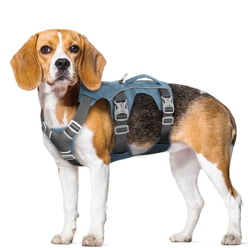Escape Proof Dog Harness with Handle - Reflective No Pull Dog Vest, Lightweight Full Body Pet Harness Adjustable for Small Dogs Walking,Training(Blue,Chest:14-22") - color: Blue, size: XS: Chest 14-22", Fit 8-12 lbs