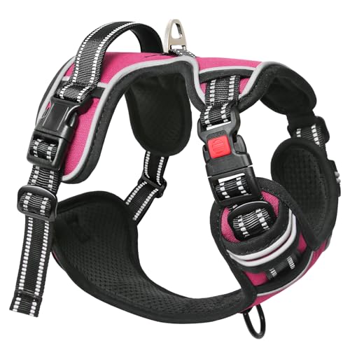 Timos No Pull Dog Harness, No Choke Front Lead Dog Reflective Harness, Adjustable Soft Padded Pet Vest with Easy Control Handle for Small Medium Large Dogs, S - color: Lock-Rosy, size: Small (Pack of 1)
