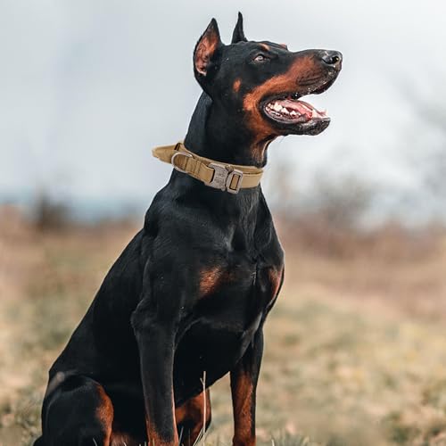 Tactical Dog Collar with Handle - Military Adjustable Dog Training Collar Soft Nylon and Heavy Duty Metal Buckle for Medium Large Dogs - with Patch (Brown, Medium) - color: Brown, size: Medium