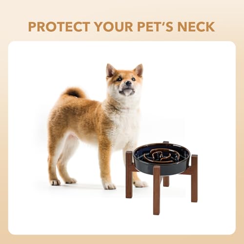 Havniva 1.2 Cup Elevated Slow Feeder Dog Bowls, 7.3” Ceramic Dog Slow Feeding Bowls with Acacia Wood Stand, Raised Dog Food Bowl Puzzle Slow Feeder for Small Dogs/Fast Eater, Non-Slip & Anti-Choking - color: 1 x Starry Sky + Stand - A, size: M- 7.3inch /