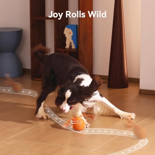 Cheerble Smart Interactive Dog Toy, Wicked Ball Rolly, Automatic Moving, Bouncing, Rotating, E-TPU Material, with Rope & Barks Sound Active Rolling Interactive Dog Ball for Medium and Large Dogs