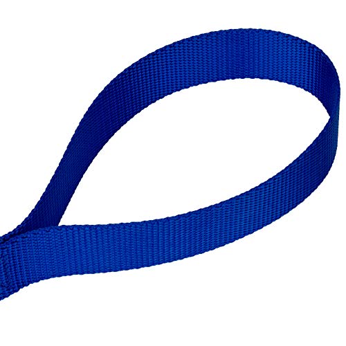 Country Brook Petz - Royal Blue Martingale Heavyduty Nylon Dog Collar and Double Handle Leash (1 Inch, Extra Large) - color: Royal Blue, size: Extra Large (Pack of 1)