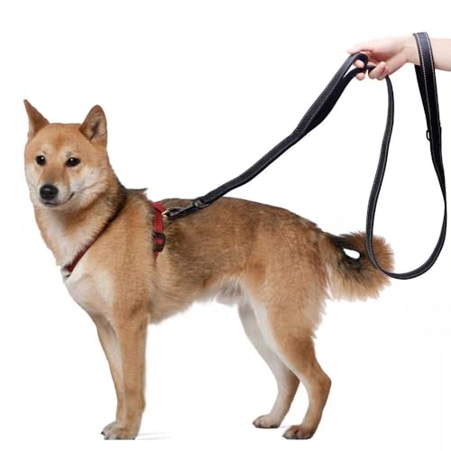 Aeclleca Soft Handle Reflective Black Dog Leash with 2 Padded Handles, 5FT Heavy Duty Pet Lead for Medium & Large Dogs, Comfortable Anti-Slip Grip & Night Safety Design (Sky Blue) - color: Sky blue