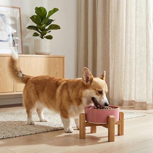 hjn Elevated Ceramic Dog Bowl with Bamboo Stand, Raised Pet Feeding Station for Small Medium Dogs Cats, Modern Design with Anti-Slip Base (Deep Pink, 3.6Cup) - color: Deep Pink, size: 3.6Cup