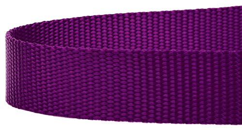 Country Brook Petz - Vibrant 17 Color Selection - Heavyduty Doublehandle Nylon Leash (6 Foot, 3/4 Inch Wide, Purple) - color: Purple
