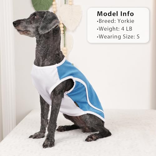 2 Pack Dog Clothes,Dog Shirts for Small Dogs,Quick Dry Dog Vest Boy Girl Summer, Puppy T-Shirt with Reflective Strip,Sun Protection Sleeveless Cool Breathable Pet Apparel(Turquoise and Pink, XS) - color: Turquoise and Pink, size: X-Small (Chest 12.2 in)