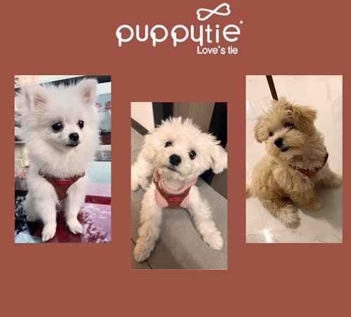 Puppytie Small Dog Harness with Multifunction Dog Leash,Lightweight Soft Adjustable No Choke Escape Proof Pet Harness Vest Pet Harness Vest,Brown Caramel,S - color: Brown, size: S(9-17.5lb)