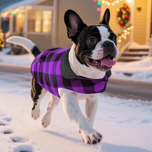 ASENKU Dog Jacket Plaid Reversible Reversible Dog Vest Waterproof Cold Winter Clothes Pet Apparel for Small Medium Large Dogs (XS, Purple) - color: Purple, size: X-Small