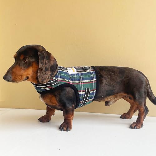 Dachshund Harness no Armpit rub, Christmas Plaid Escape Proof Doxie Harness, Adjustable Step in Dog Harness for mini & Standard Dachshund (Green, XS: Chest 10"-12"/25-31cm) - color: Green, size: XS:Chest 10"-12"/25-31cm