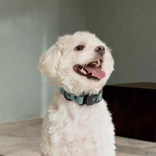Fei & Eve VERO Dog Collar, Glacier Green, Small | MagEase Magnetic Buckle, Waterproof PVC, Odor Resistant, Easy Clean, Heavy Duty - color: Glacier Green, size: S