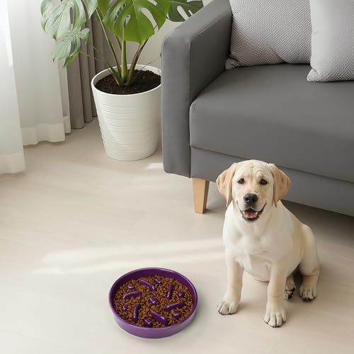 Ceramic Slow Feeder Dog Bowl, 2 Cups Dog Food Bowls for Small, Medium, and Large Breed, Anti-Slip Puzzle Food Dish to Slow Down Eating (Deep Purple, 2 Cups) - color: Maze - Deep purple