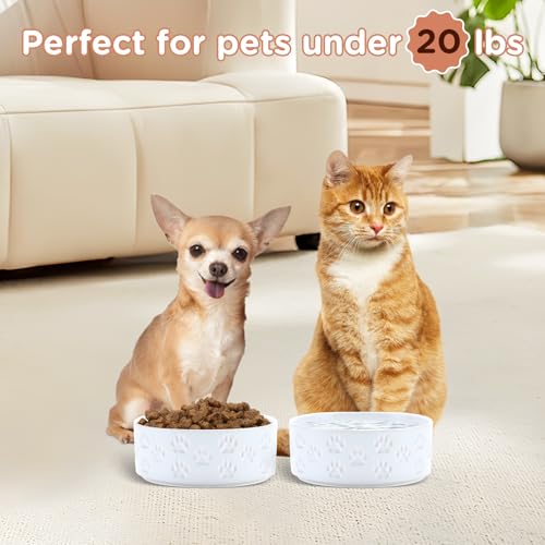SPUNKYJUNKY Ceramic Dog and Cat Bowls 2 Pack, 5.1'' Dog and Cat Food Water Double Feeding Bowls Non-Slip for Cats and Puppy Small Sized Breed Dogs Microwave Dishwasher Safe - 13.5 OZ, 2pcs, Paw White - color: Paw White - Only Bowls*2, size: 5.1 in - 1.7 c