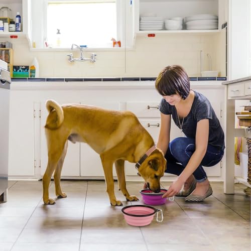 Kytely Large Collapsible Dog Bowls 2 Pack, 34oz Foldable Dog Travel Bowl, Portable Pet Water Food Bowl with Clasp, Pet Cat Feeding Cup Dish for Traveling, Walking, Hiking (Pink+Purple) - color: Purple & Pink