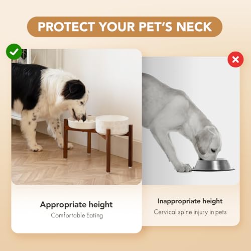 Havniva 1.6 Cup Elevated Slow Feeder Dog Bowls, 8.2” Dog Slow Feeding Bowls + 7.3” Ceramic Dog Water Bowls Set with Acacia Wood Stand Dog Food Bowls Puzzle Feeder for Medium Dogs Non-Slip Anti-choking - color: 2 x White + Stand - C, size: L- 8.2inch / 1.6