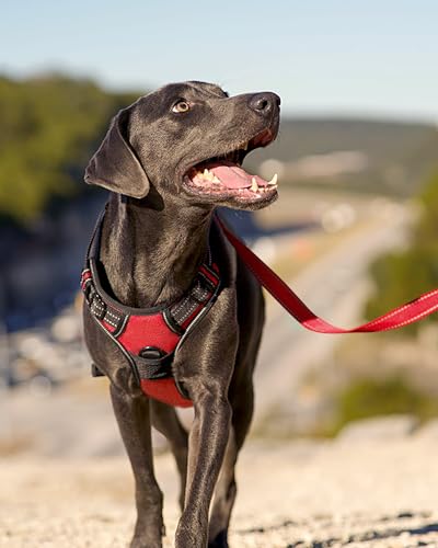 Joytale No Pull Dog Harness Medium Sized Dog, Reflective Pet Vest with Front Clip, Adjustable Soft Padded Harnesses with Easy Control Handle for Training and Walking, Red, M - color: Red, size: Medium