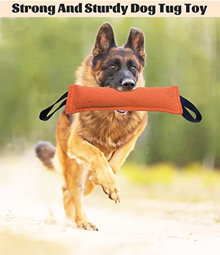 Clysoru Dog Tug Toy Double Pack Tough Jute Bite Pillow Training Equipment Puppy to Large Dogs Interactive - color: orange yellow