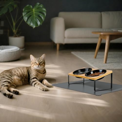 LEAWALK Upgraded Adjustable Height Cat Food Bowls Stand Ceramic Dog Bowls and Slow Feeder Cat Bowl, 15°Tilted Stand Anti Vomiting Raised for Small and Medium Sized Cats Dogs (Black (2 Bowl+Pet mat)) - color: Black ( 2 Bowl+Pet mat)