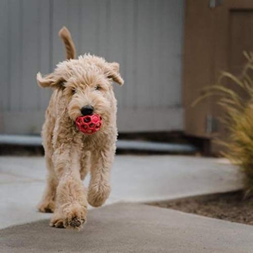 JW Pet Hol-ee Roller Dog Toy Puzzle Ball, Natural Rubber, Medium (4.5 Inch Diameter), Colors May Vary - size: Medium