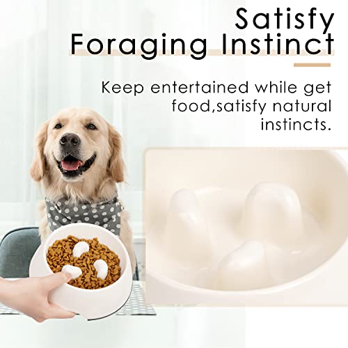 SUPERDESIGN Slow Feeder Dog Bowl Cat Bowl 1/2 Cup Slow Feeding Dog Bowl for Small Medium Breed Anti Gulping Healthy Eating Interactive Bloat Stop Fun Alternative Non Slip Puzzle Dog Food Bowl, White - color: White, size: S