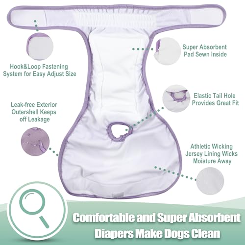 wegreeco Washable Reusable Premium Dog Diapers,Pack of 3,Small Dog Puppy & Doggy Diapers Female,Dog Period Panties Diapers Female in Heat Small - color: Grey, Purple, Green, size: Small