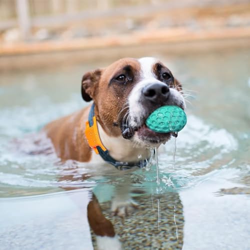 Squeaky Dog Balls, Indestructible Dog Toys for Aggressive Chewers Large/Medium Breed, Natural Rubber Interactive Chew Toys for Teeth Clean, Relieves Anxiety (Light Blue) - color: Light Blue