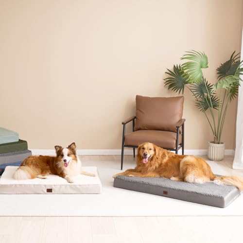 EHEYCIGA Orthopedic Foam Dog Bed, Medium, 30"L x 20"W x 3.5"Th, Light Grey - color: Light Grey, size: 30*20*3.5 inches