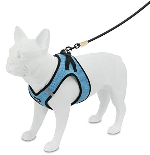 Best Pet Supplies - All Weather Mesh / Plush, Reflective, No Pull Harness for Small, Medium Dogs, Cats - Secure with Hook & Loop Fastener, Buckle, Double D-Rings - Baby Blue/Black Trim, L - color: Harness (Baby Blue/Black Trim), size: L (Chest: 18 - 20.5"