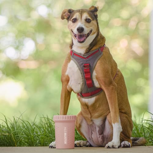 Dexas MudBuster Medium Dog Paw Cleaner, Blush, Fits 1.5"-2.5" Wide Paws, Gentle Silicone Bristles for Quick, Easy Cleaning - color: Blush, size: Medium without Lid