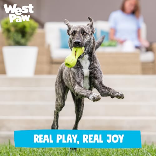 West Paw Zogoflex Qwizl Interactive Treat Dispensing Dog Puzzle Treat Toy for Dogs, Granny Smith, Large - color: Granny Smith, size: Large