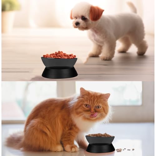 French Bulldog Food Bowl- Slanted Tilted Pug Food Water Bowl,Cat Bowl- Feeder for Frenchie/Shih Tzu/Flat Faced Small Dogs/Puppies/Cats (Black(Ceramic), 2 Cup) - color: Black Bowl(Ceramic), size: 2 Cup