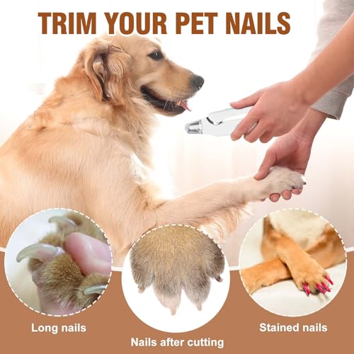 2-in-1 Dog Nail Grinder &Dog Nail Clippers with Light,Cat Nail Clippers ,Ultra-Quiet, USB Rechargeable, Multiple Grinding Methods, and Splash Guard for Large Medium Small Dogs Cats Pets(Green) - color: green