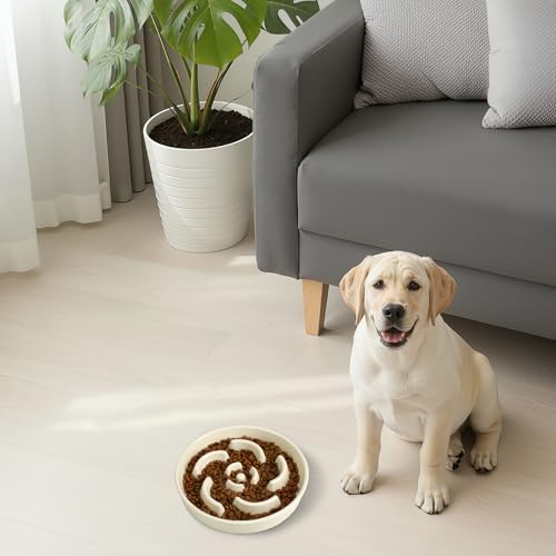 Slow Feeder Dog Bowl, Ceramic 2 Cups Dog Food Bowls for Small, Medium, and Large Breed, Anti-Slip Maze Puzzle Food Dish to Slow Down Eating (White, 2 Cups) - color: Flower - White