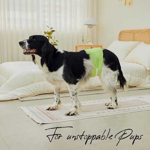 WICKEDPUP Male Dog Belly Band Kit, 50 Diaper Pads & 1 Reusable Male Wrap (Size 3 (21.5"-26" Waist)) - size: Size 3 (21.5"-26" Waist)