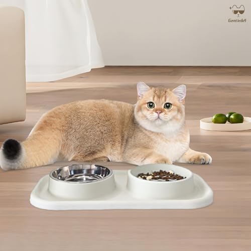 Waterproof Silicone Cat Food Bowls, Stainless Steel & Silicone Slow Feeder Double Bowls, Non-Skid & Non-Spill Raised Edge, Food and Water Feeder for Cat and Puppy - color: Silicone material-Beige