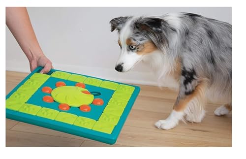 Interactive Dog and Cat Games Treat Hiding Challenge Mental Stimulation with Rewards (15 Inch Multi Puzzle Game) - size: 15 Inch Multi Puzzle Game