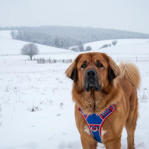 XXL Giant Dog Harness, Maximum Control Heavy Duty Training Gear, No Pull Big Doggy Vest with Neck Buckle, Breathable Padded Straps & Strong Handle for Puppy Rottweiler, Great Dane (XX-Large) - size: XX-Large