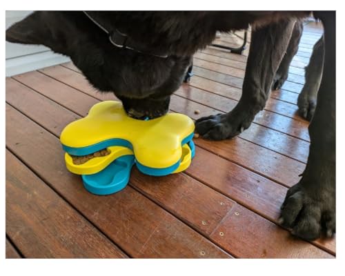 Interactive Dog and Cat Games Treat Hiding Challenge, 11 Inch | Tornado Game, Mental Stimulation, Rewards - size: 11 Inch Tornado Game