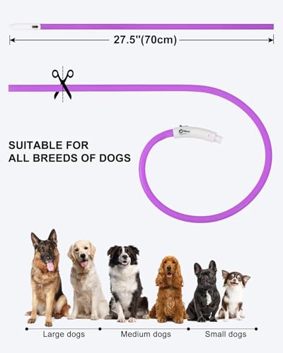 Joytale Light Up Dog Collar, Rechargeable Rainproof LED Collar for Night Walking Safety, Soft Silicone Glow in The Dark, Suitable for Small Medium Large Dogs, Purple - color: Purple