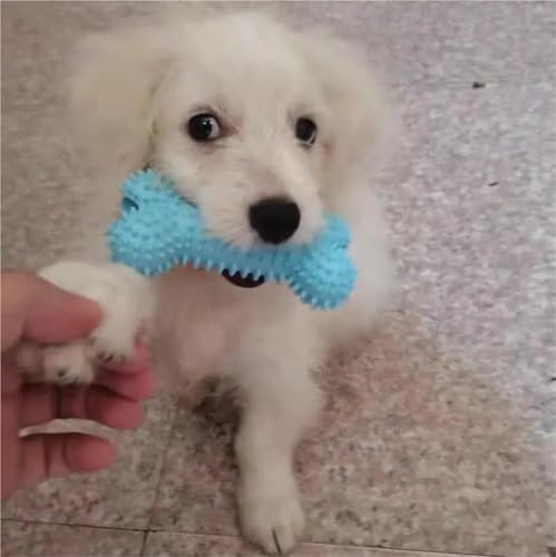 Puppy Chew Toys Set, Soft Rubber Teething Toys for Small Dogs, Durable Interactive Dog Toys with Cotton Rope, Pink & Blue 2 Colors