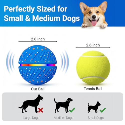 Interactive Dog Ball Toy for Small Medium Dogs – Automatic Rolling, Bouncing & Moving Dog Toy with LED Lights, 2-in-1 Fetch Toy, Durable E-TPU, USB Rechargeable (2.8” Blue) - color: Blue, size: Medium (2.8" / 70mm) – 019