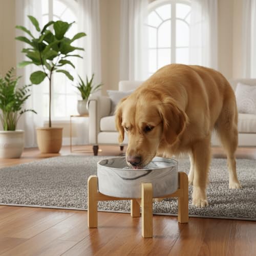 Elevated/Raised Ceramic Dog Bowl with Bamboo Stand,Marble Pattern 7 Inch 7.6 Cups Non Slip Heavy Weighted Single Pet Dish,Reduces Neck Strain Marble Gray - color: Marble Gray, size: 7.6Cups - Large