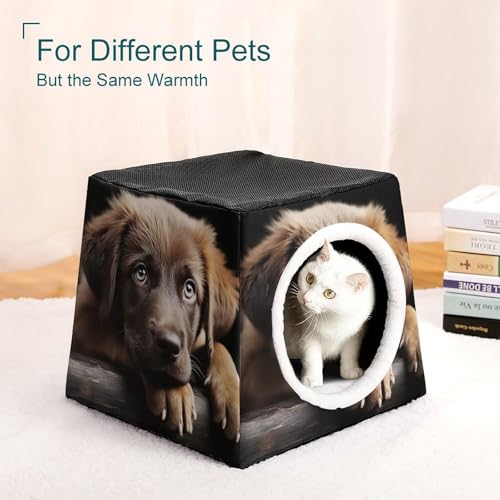 Collapsible Soft Dog Crate Pet Kennel Houses Puppies Dog Printed Lightweight Travel Crate Kennel Indoor & Outdoor, 13.8"x13.8"x11.8"