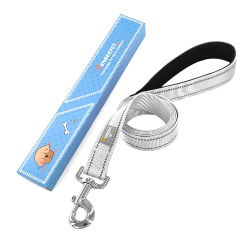Dog Leash 6 FT Padded Handle Nylon Reflective Dogs Leashes for Small Dogs Silver - color: Refl Silver, size: Small : 5/8" x 6 FT