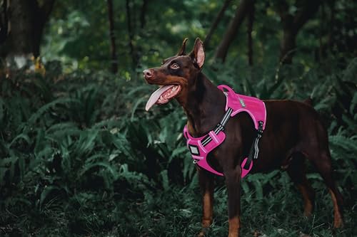 Tactical Dog Harness for Medium & Large Dogs, Rose Pink Adjustable No-Pull Control with Handle, Heavy Duty Reflective Vest - Size XL - color: ROSE PINK, size: XL